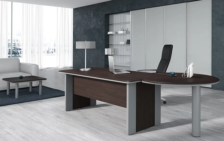 Кабинет руководителя DIONI Кабинет руководителя DIONI